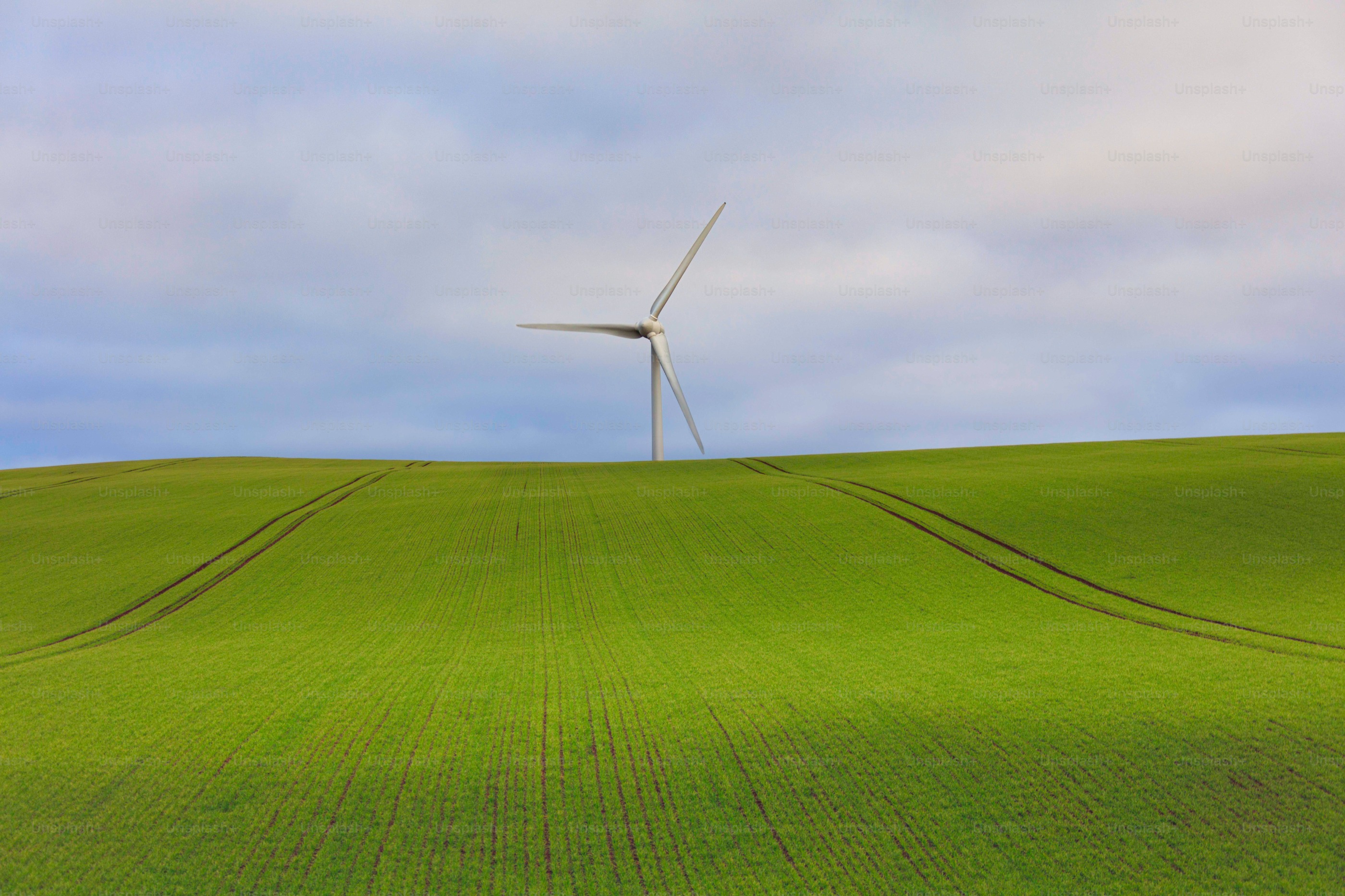 Sustainability